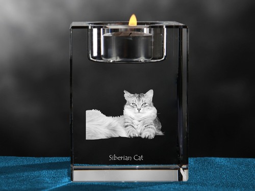 Gatto siberiano candelabro - gatto, siberiano,