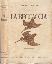 La beccaccia. Anatomia