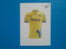 Figurine Calciatori Panini