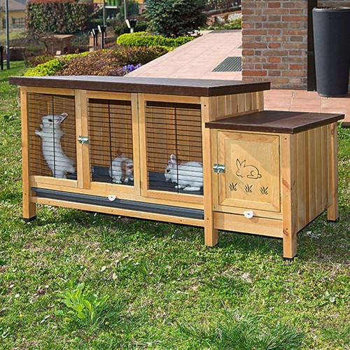 Conigliera grande piano - conigliera, un