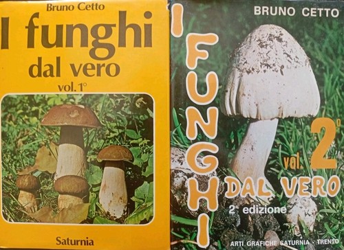 Funghi dal vero - dal, vero.