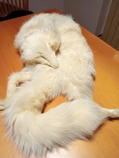 Collo di pelliccia autentica in volpe bianca 