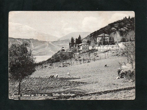 Cartolina levico terme - cartolina,