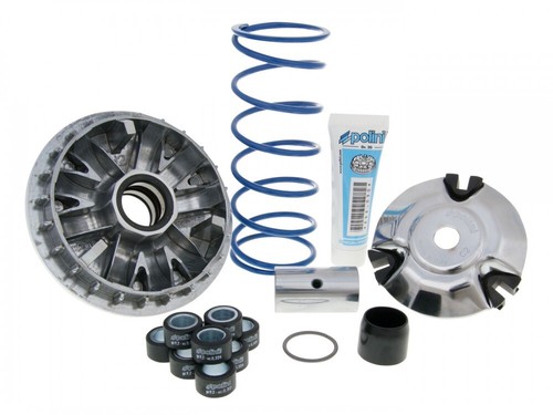 Variatore polini - variatore,