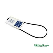 CINGHIA PER PULEGGIA CESTO