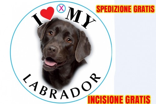 Medaglietta per cane labrador - medaglietta,