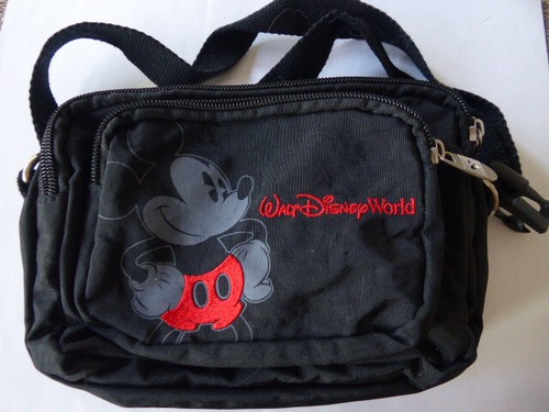 Walt disney world - walt,