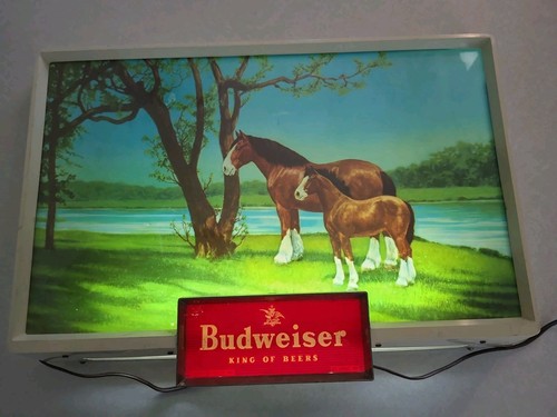 Insegna luminosa birra