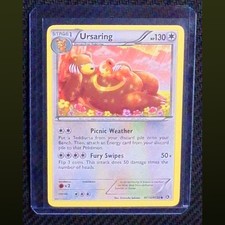 2013 POKEMON LEGENDARY