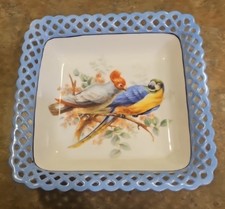 Piatto ciotola pappagallo