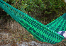 Amaca Messicana "Mikko"