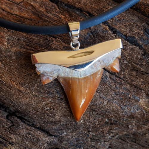 Collana ciondolo dente - , di