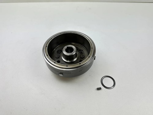 Accensione rotore yamaha tdm - rotore,