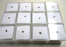 +++ 1 pezzo: frammento di