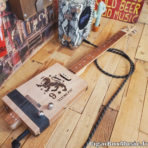 Guitare cigar box électrique
