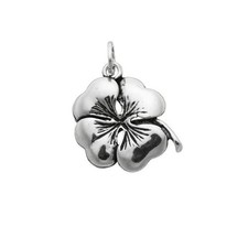 06010 Charm in Argento 925