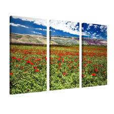 STAMPA SU TELA PAPAVERI FOTO