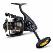 Black Cat Catextreme Big Cat