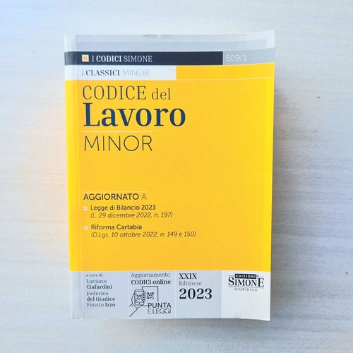 Codice del lavoro minor - del,
