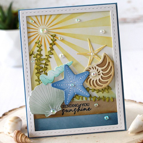 Conchiglie stelle marine - , alghe