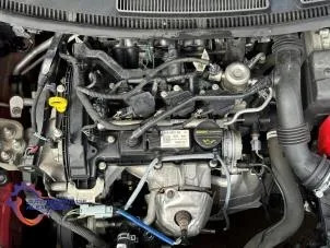 Motore ford focus - motore,