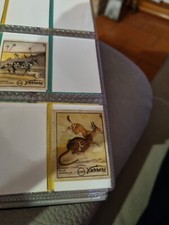 Figurina N.100 Ferrero Serie Caccia Grossa  Anni 60 Come Da Foto. Contenit.4