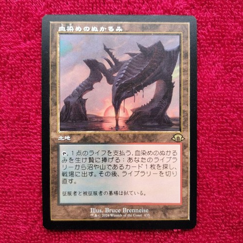Bloodstained mud old frame mtg - mud,