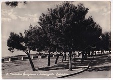 P03225 - CARTOLINA SAN NICANDRO GARGANICO - PASSEGGIATA BELVEDERE - g/vg