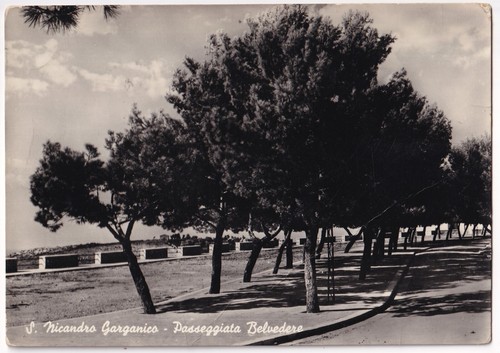 P03225 cartolina san - -,