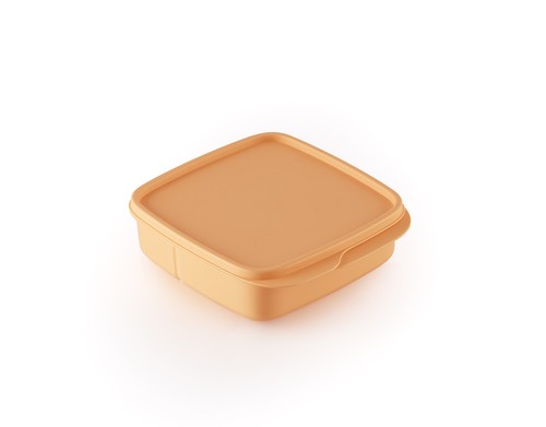 Tupperware clevere pause - tupperware,