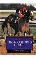 The thoroughbred horse born - the,