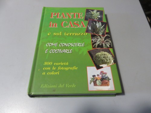 Piante casa sul terrazzo - piante,
