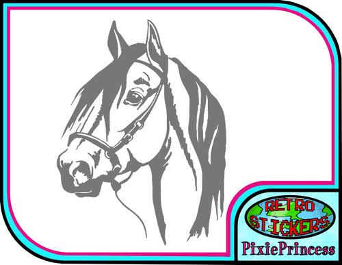 Cavallo equitazione equestre - equestre, d