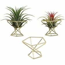 3 Pezzi Porta Piante Decorazione Supporto Piante Natura Foresta Geometrico Regalo Metallo