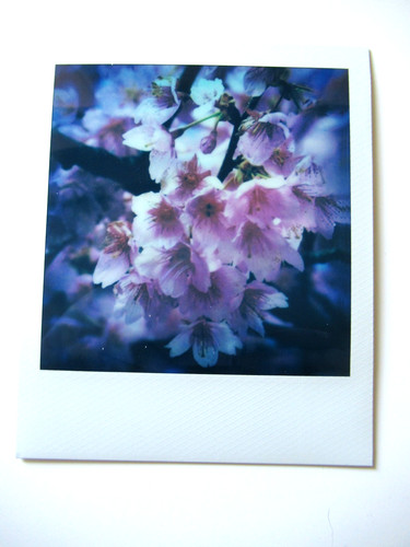 Araki polaroid originale - n.,