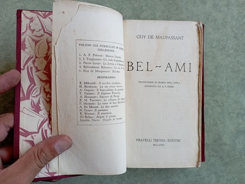 Bel ami guy - bel-ami,