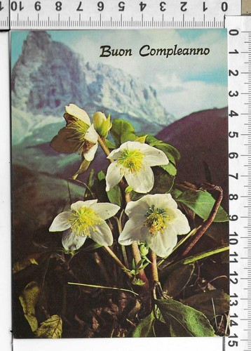 Lotto 3 cartoline buon - 23,