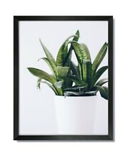 8x10 EcoLine Black Picture