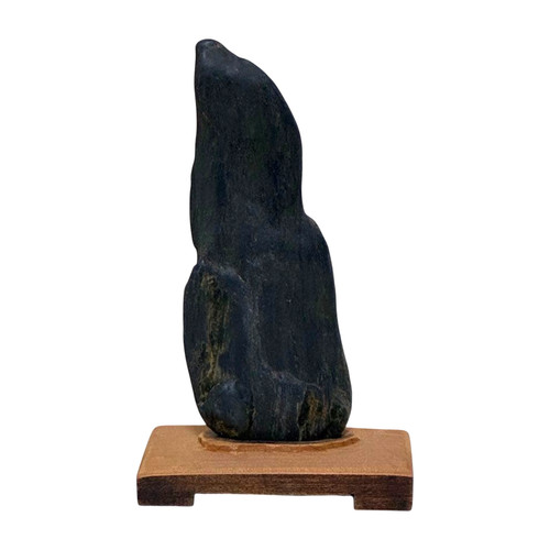 Pietra giapponese suiseki - pietra,