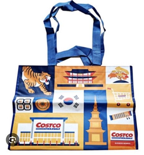 Borsa shopping grande