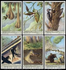 FIGURINE LIEBIG - S 1519 UNI 1528 - PROFESSIONI FRA LE BESTIE - Ed. ITALIANA