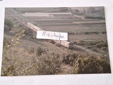 Fotografia Convoglio Passeggeri MDVC trainato dalla Locomotiva diesel FS D 445