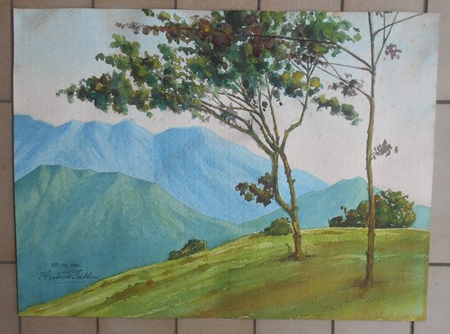 Quadro dipinto acquerello - dipinto, ad