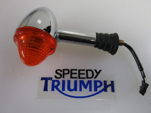 Triumph thruxton 900 - thruxton, scrambler