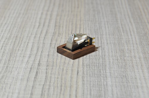 New wooden corpo - -, naked
