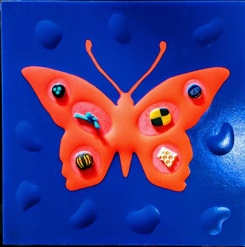 Nucara renzo butterfly - renzo,