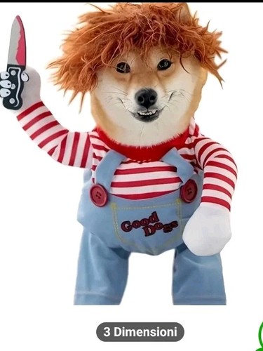 Costume carnevale cani - costume,