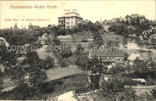 Ober loschwitz cervo bianco - ober,