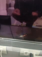 TV 55 pollici OLED 2017 usato con pannello danneggiato