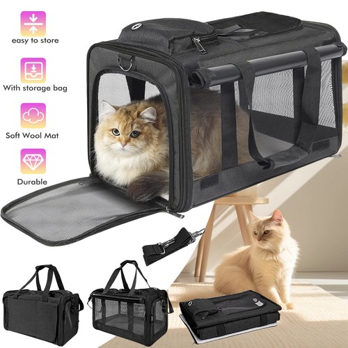 Box per gatti - box,